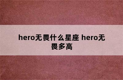 hero无畏什么星座 hero无畏多高